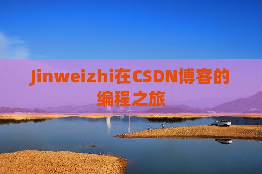 Jinweizhi在CSDN博客的编程之旅